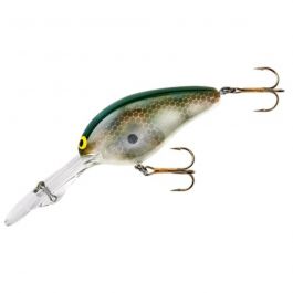 Norman DD22 Crankbait