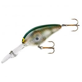 Norman DD22 Crankbait - The Bass Shop