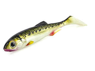 RT-Shad-35_50-Vairone-molix-the-bass-shop.png