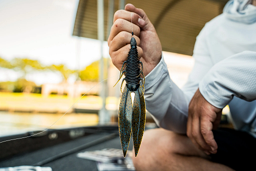 6th Sense 6.5" Bodega - Image 2