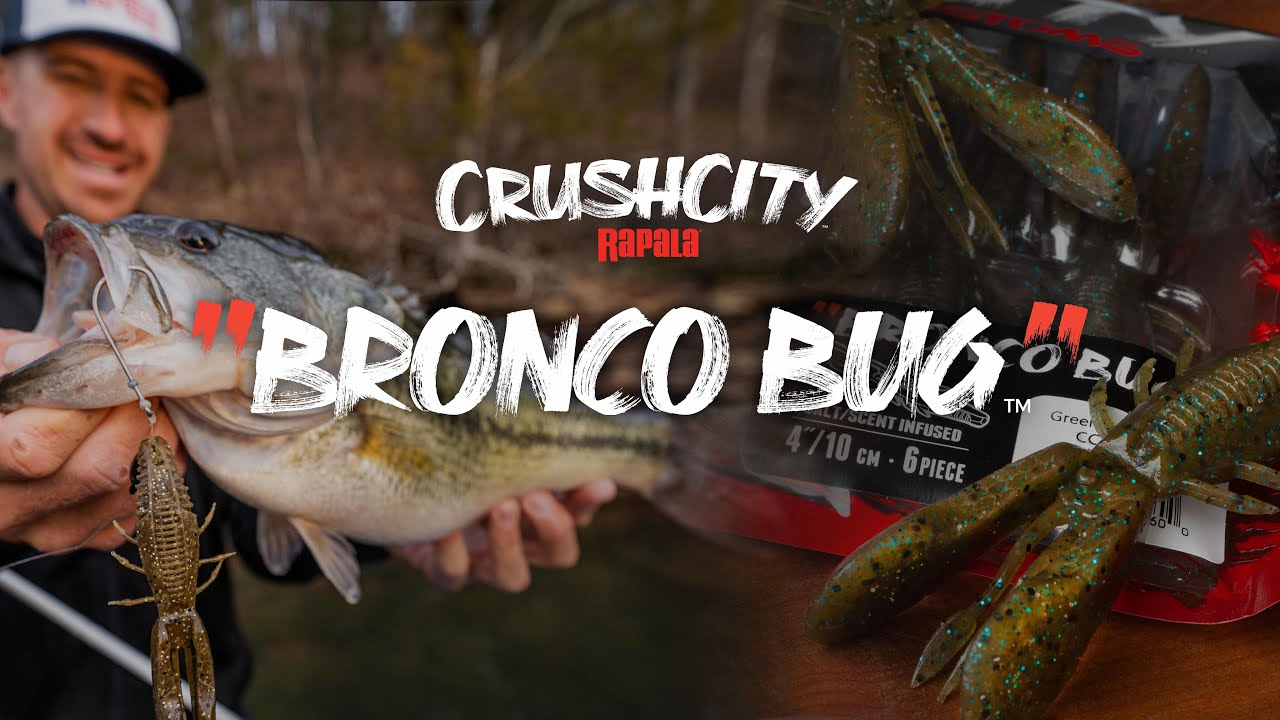 Rapala Crush City Bronco Bug - Image 7