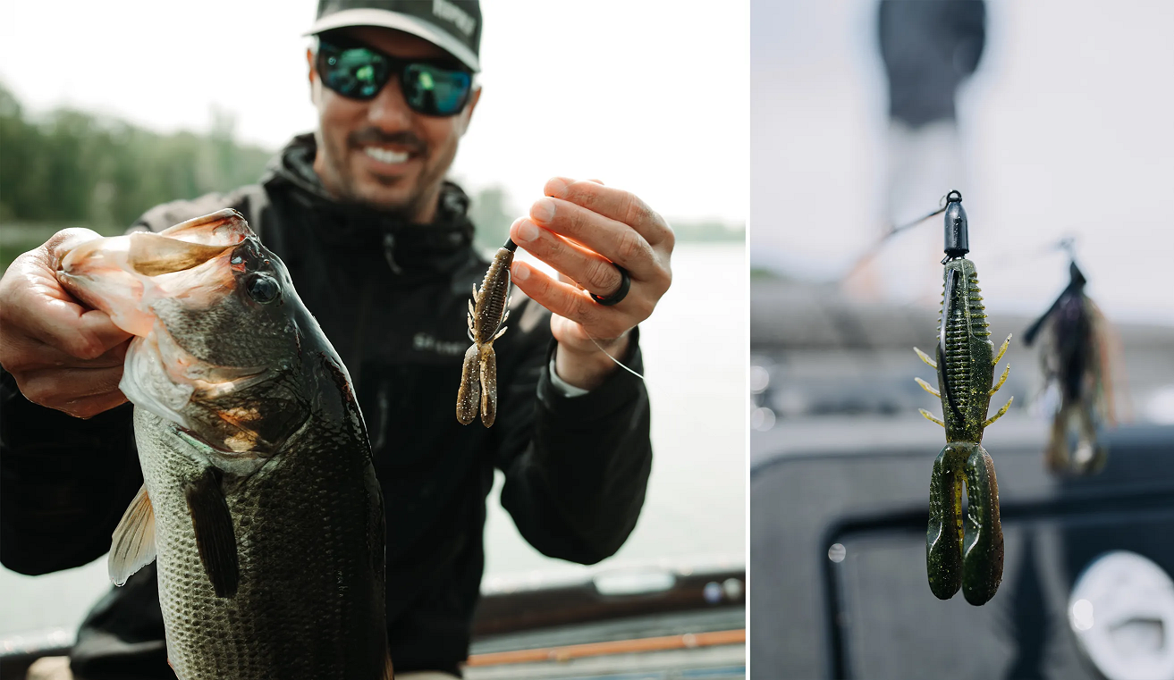 Rapala Crush City Bronco Bug - Image 9
