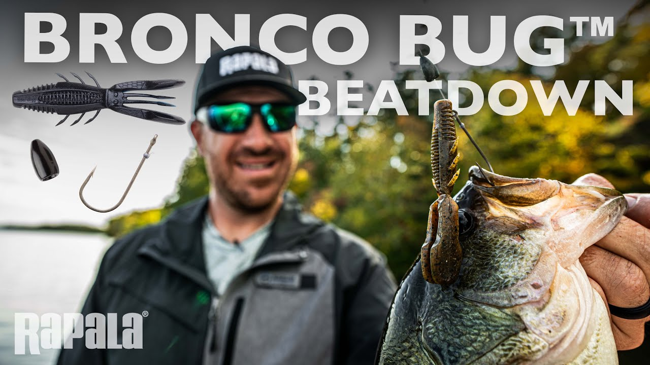 Rapala Crush City Bronco Bug - Image 10